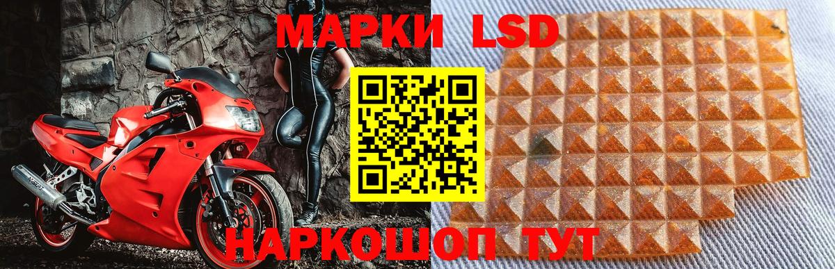 Марки 25I-NBOMe  Наркотические марки 1500мкг  Знаменск  Вход с VPN  Наркотические марки 1500мкг 