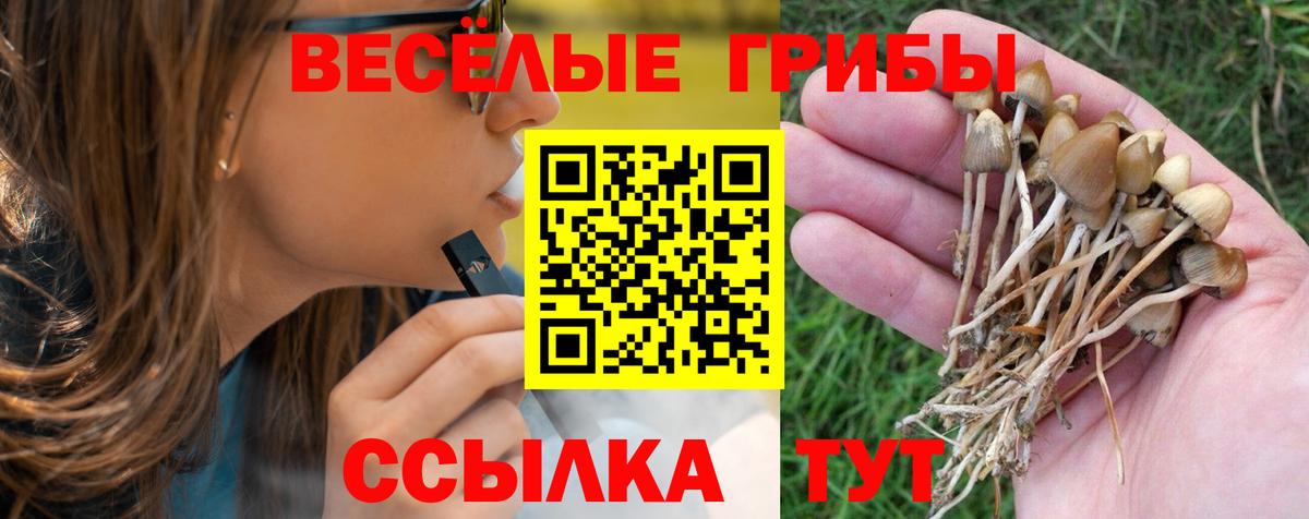 Псилоцибиновые грибы мицелий Знаменск