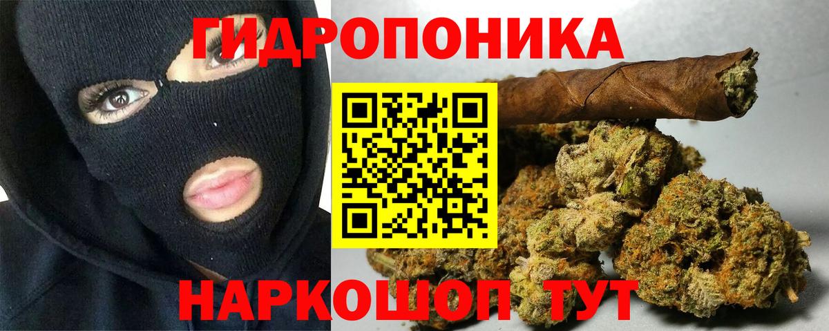 Конопля ГИДРОПОН  МАРИХУАНА White Widow  Знаменск  Вход с VPN  Канабис AK-47  Канабис Ganja 